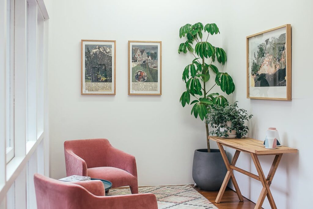 add indoor plants to make your home self-care-friendly 
